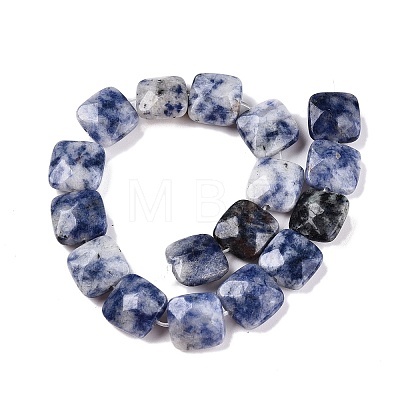 Natural Blue Spot Jasper Beads Strands G-T138-172-1