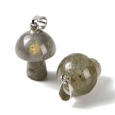 Natural Labradorite Pendants GG-CBAA0EE-05P-04-1