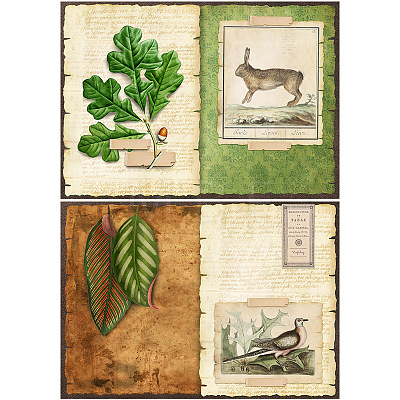 8pcs Forest Theme Scrapbook Paper PW-WG30448-01-1