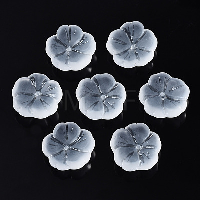 Transparent Frosted Glass Beads GLAA-Q089-003-B001-1