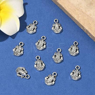 Tibetan Style Alloy Frog Charms X-TIBEP-O009-28-1