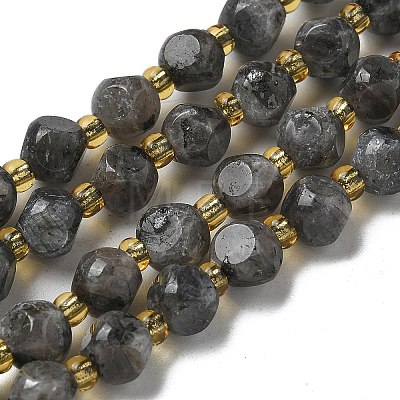 Natural Larvikite Beads Strands G-K387-A02-01-1