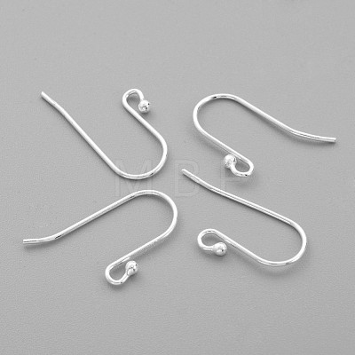 Sterling Silver Earring Hooks STER-G011-05-1