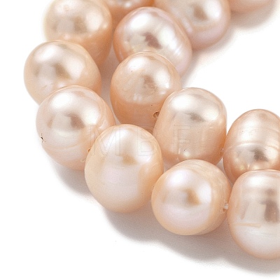 Natural Cultured Freshwater Pearl Beads Strands PEAR-C003-19B-1