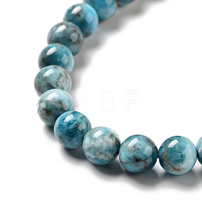 Natural Apatite Beads Strands G-G858-01A-1