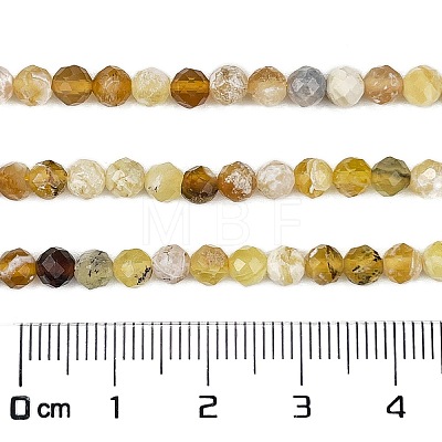 Natural Yellow Opal Beads Strands G-L597-C05-02-1