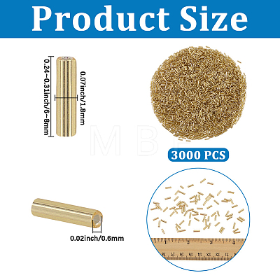 3000Pcs Glass Bugle Beads GLAA-PA0001-85-1