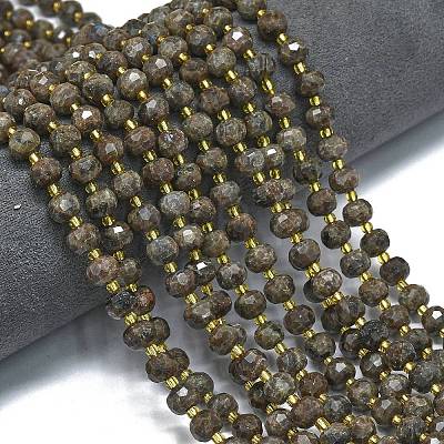 Natural Labradorite Beads Strands G-K389-E39-01-1