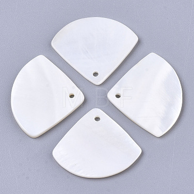 Natural Freshwater Shell Pendants LS-SHEL-R047-19-1