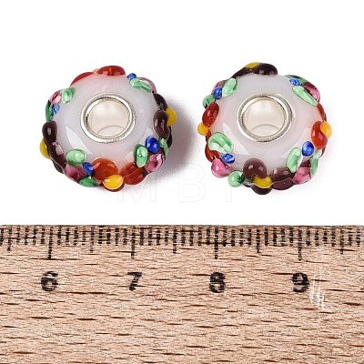 Handmade Lampwork & Brass Core European Beads LAMP-N044-06S-01-1