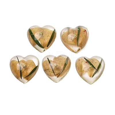 Transparent Resin Cabochons RESI-K033-10-1
