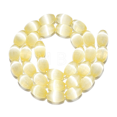 Dyed Natural Selenite Beads Strands G-T138-233J-1