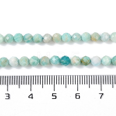 Natural Amazonite Beads Strands G-G139-A15-03-1