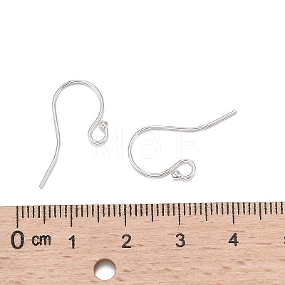 925 Sterling Silver Earring Hooks STER-K167-051C-S-1