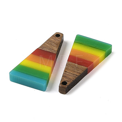 Pride Rainbow Theme Resin & Walnut Wood Pendants WOOD-K012-10C-1