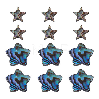 12Pcs 2 Styles Natural Abalone Shell/Paua Shell Beads SHEL-TA0001-40-1