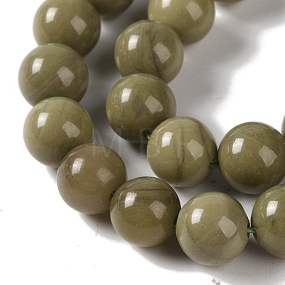 Natural Alashan Agate Beads Strands G-P530-B05-03-1