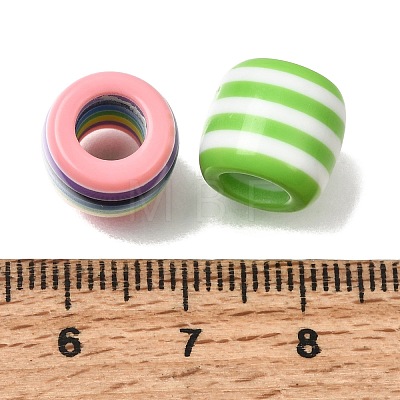 Opaque Resin European Beads RE-CBA0A57-06-1