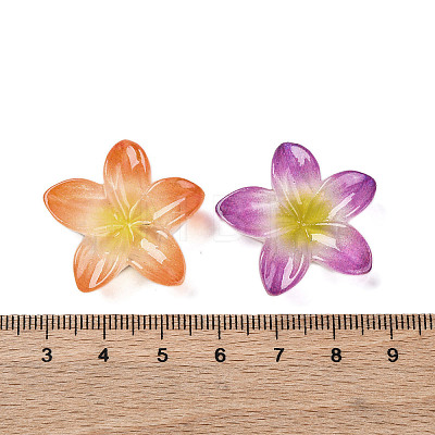 Opaque Resin Cabochons RESI-R455-01P-1