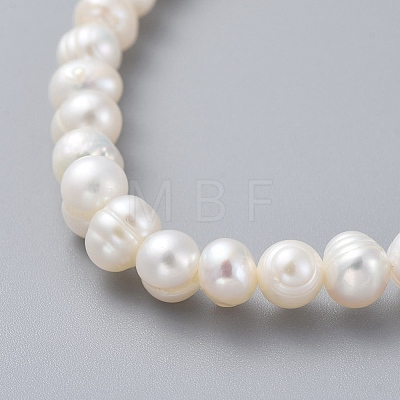 Natural Freshwater Pearl Beads Stretch Bracelets BJEW-JB04863-01-1