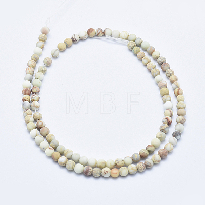 Natural Imperial Jasper Beads Strands G-A175C-4mm-01-1