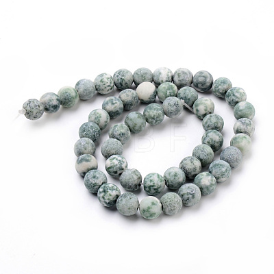 Natural Qinghai Jade Round Bead Strands G-Q462-74-6mm-1
