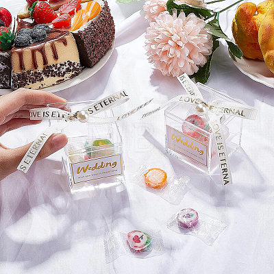 Square Transparent Acrylic Candy Gift Boxes CON-WH0088-15A-1