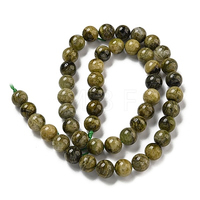 Natural Green Tourmaline Beads Strands G-B099-C05-04-1