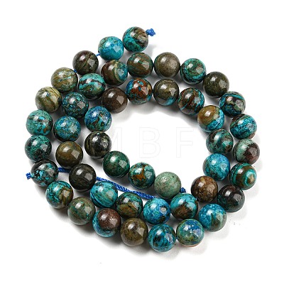 Natural Chrysocolla Beads Strands G-P503-8MM-05-1