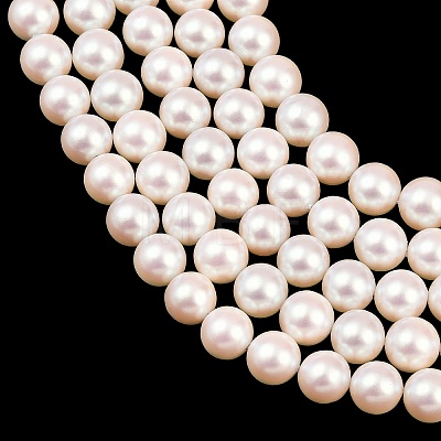 Electroplated Shell Pearl Beads Strands BSHE-C011-01B-1