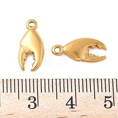 304 Stainless Steel Charms LS-STAS-K306-14G-1