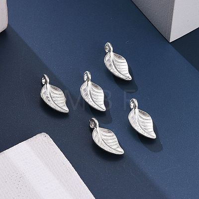 Tibetan Style Alloy Pendants TIBEP-S191-S-RS-1