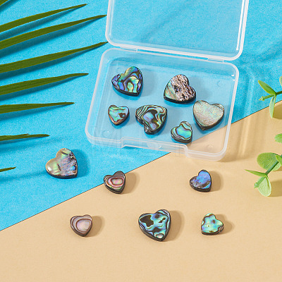 12Pcs 2 Styles Natural Abalone Shell/Paua Shell Beads SHEL-TA0001-41-1