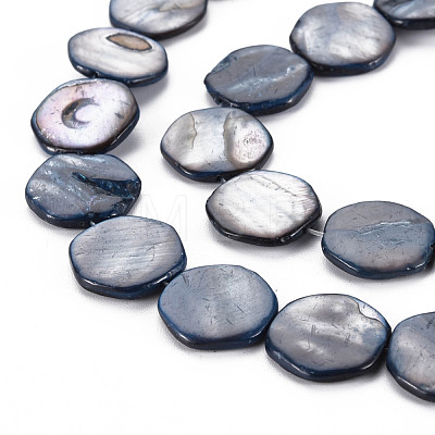 Natural Freshwater Shell Beads Strands SHEL-S276-159-1