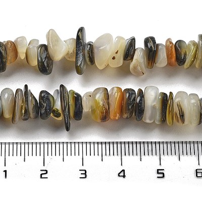 Natural Black Lip Shell Beads Strands BSHE-G038-04-1