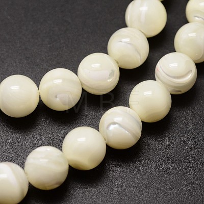 Shell Beads Strands SSHEL-E571-39-4mm-1