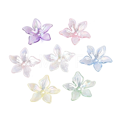 Transparent Plastic Bead Caps KY-N025-38-1
