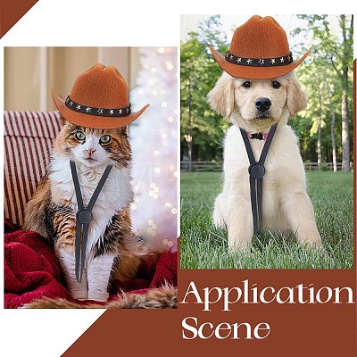 Felt Pet Cowboy Hat AJEW-WH20070-131C-1
