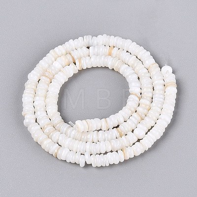 Natural Freshwater Shell Beads Strands SHEL-Q028-01A-1