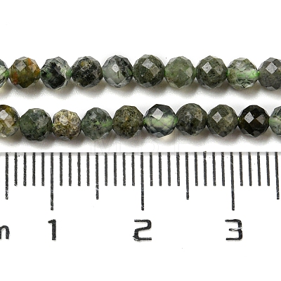 Natural Prehnite Beads Strands G-A097-A06-03-1