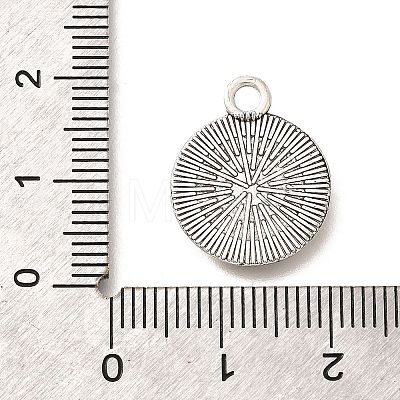 Tibetan Style Alloy Pendants PALLOY-D291-16AS-1