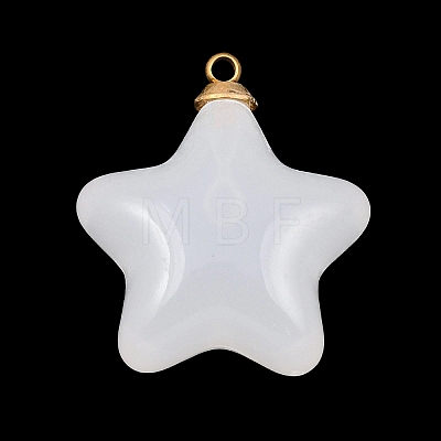 304 Stainless Steel Resin Pendants STAS-K322-11C-G-1