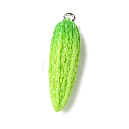 Resin Iron Pendants RESI-D280-10-1