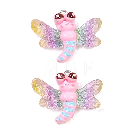 Transparent & Opaque Resin Pendants RESI-P048-02A-P-1