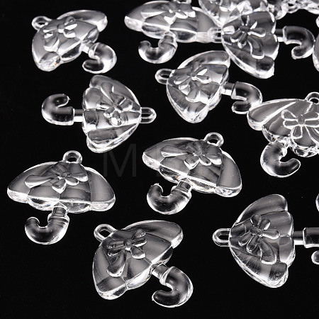 Transparent Acrylic Pendants TACR-T024-01B-205-1