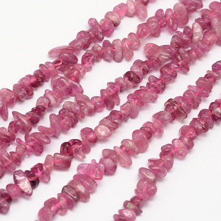 Chips Natural Red Tourmaline Beads Strands G-N0164-29-1