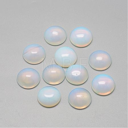 Opalite Cabochons G-R416-14mm-49-1