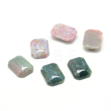 Natural Indian Agate Gemstone Cabochons X-G-T028-18x25mm-06-1