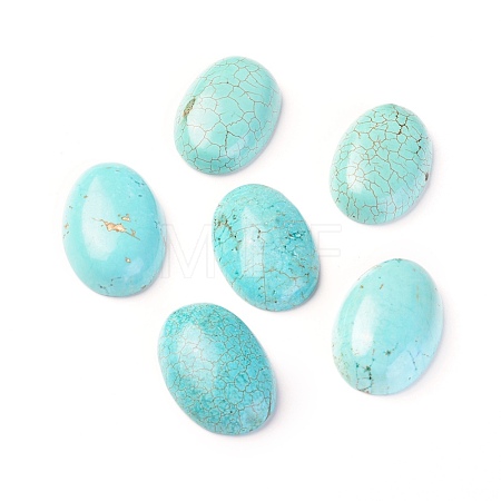 Natural Magnesite Cabochons TURQ-L031-038E-04-1