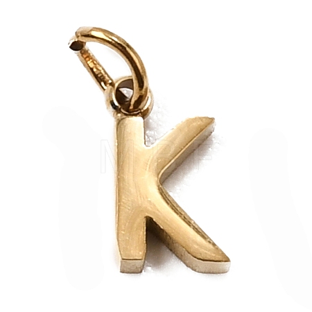 304 Stainless Steel Charms SA-CBABF3F-01G-K-1